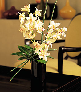  Eskiehir iek online iek siparii  cam yada mika vazo ierisinde dal orkide