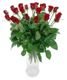  Eskişehir çiçek siparişi vermek  11 adet kimizi gülün ihtisami cam yada mika vazo modeli