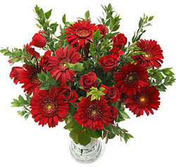 5 adet kirmizi gül 5 adet gerbera aranjmani  Eskişehir uluslararası çiçek gönderme 