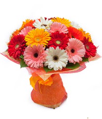 Renkli gerbera buketi  Eskişehir İnternetten çiçek siparişi 