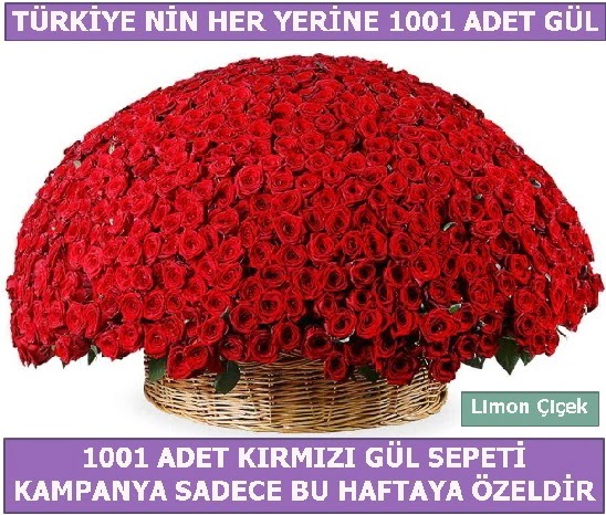 1001 Adet kırmızı gül Bu haftaya özel  Eskişehir çiçek siparişi sitesi 