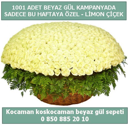 1001 adet beyaz gül sepeti özel kampanyada  Eskişehir internetten çiçek satışı 