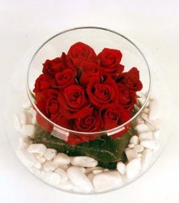 Cam fanusta 11 adet kırmızı gül  Eskişehir internetten çiçek siparişi 