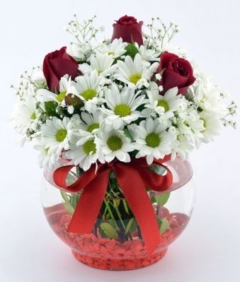 Fanusta 3 Gül ve Papatya  Eskişehir hediye sevgilime hediye çiçek 