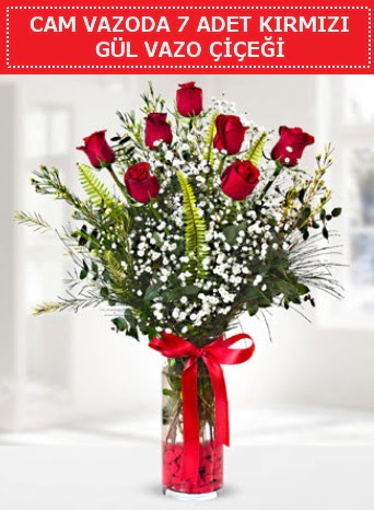 Cam vazoda 7 adet kırmızı gül çiçeği  Eskişehir internetten çiçek satışı 