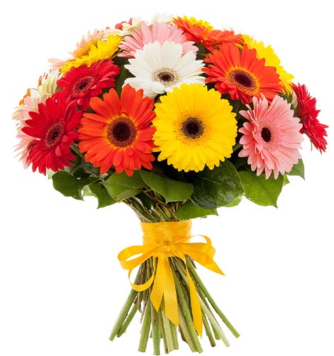 Gerbera demeti buketi  Eskişehir online çiçek gönderme sipariş 