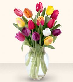  Eskişehir çiçek online çiçek siparişi  13 adet cam yada mika vazoda laleler