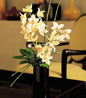  Eskişehir çiçek online çiçek siparişi  cam yada mika vazo içerisinde dal orkide