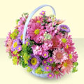  Eskişehir ucuz çiçek gönder  bir sepet dolusu kir çiçegi  Eskişehir internetten çiçek satışı 