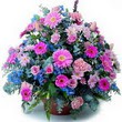 karisik mevsim kir çiçekleri  Eskişehir internetten çiçek satışı 