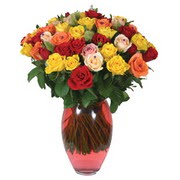 51 adet gül ve kaliteli vazo   Eskişehir internetten çiçek satışı 