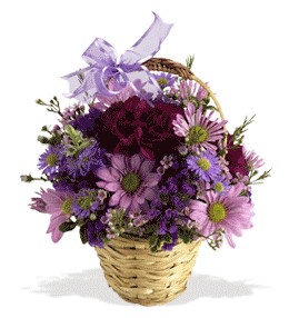  Eskişehir online çiçekçi , çiçek siparişi  sepet içerisinde krizantem çiçekleri