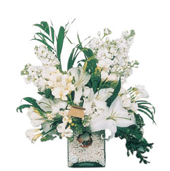  Eskişehir çiçek servisi , çiçekçi adresleri  sadece beyazlardan olusmus mevsim cam yada mika tanzim