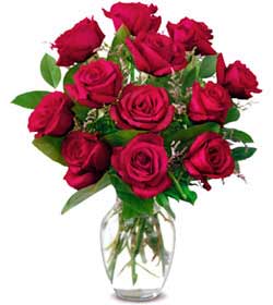  Eskişehir kaliteli taze ve ucuz çiçekler  1 düzine kirmizi gül sevenlere özel vazo gülleri
