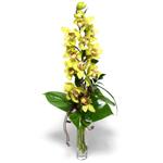  Eskişehir çiçek siparişi sitesi  cam vazo içerisinde tek dal canli orkide