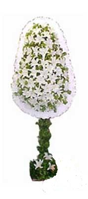  Eskişehir anneler günü çiçek yolla  nikah , dügün , açilis çiçek modeli  Eskişehir kaliteli taze ve ucuz çiçekler 