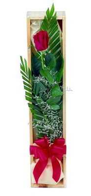 1 adet kutuda kirmizi gül  Eskişehir internetten çiçek satışı 