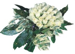  Eskişehir çiçek servisi , çiçekçi adresleri  9 Beyaz gül Özel kisiler için