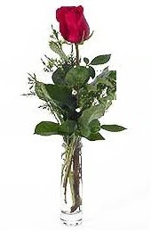 Vazo içerisinde 1 adet kirmizi gül  Eskişehir yurtiçi ve yurtdışı çiçek siparişi 