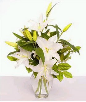  Eskişehir internetten çiçek siparişi  2 dal cazablanca vazo çiçeği