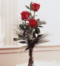  Eskişehir hediye sevgilime hediye çiçek  Vazoda 3 adet güzel gül