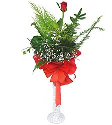  Eskişehir İnternetten çiçek siparişi  Cam vazoda masum tek gül