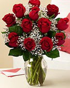 Sevgilime hediye 9 adet 1.ci kalite gül  Eskişehir İnternetten çiçek siparişi 