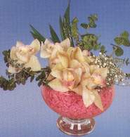  Eskişehir çiçekçi telefonları  Dal orkide kalite bir hediye