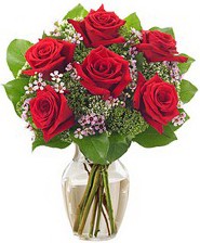 Kız arkadaşıma hediye 6 kırmızı gül  Eskişehir çiçek servisi , çiçekçi adresleri 