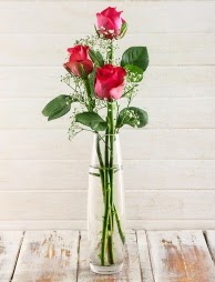 Cam içerisinde 3 kırmızı gül  Eskişehir online çiçek gönderme sipariş 