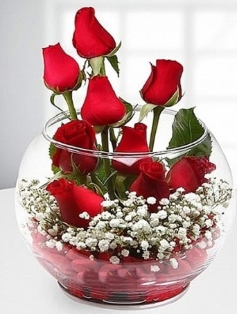 Kırmızı Mutluluk fanusta 9 kırmızı gül  Eskişehir anneler günü çiçek yolla 